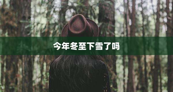 今年冬至下雪了吗