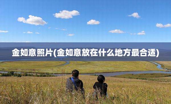 金如意照片(金如意放在什么地方最合适)