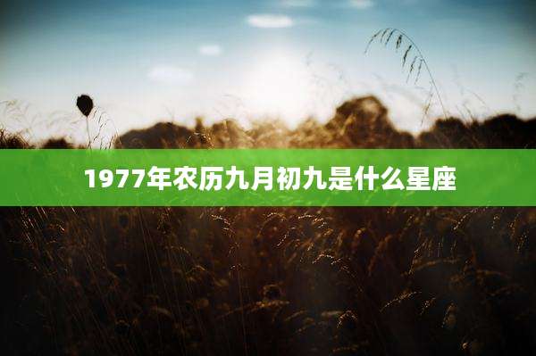 1977年农历九月初九是什么星座