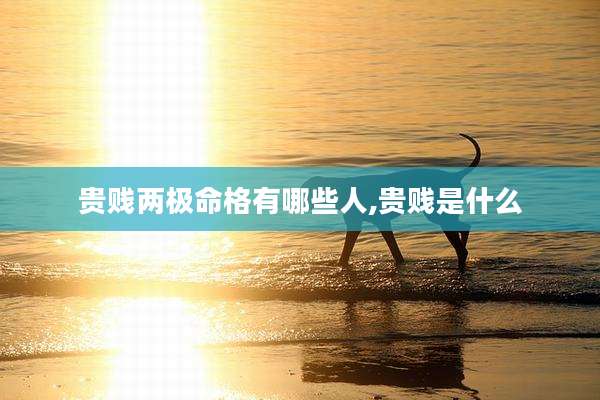 贵贱两极命格有哪些人,贵贱是什么