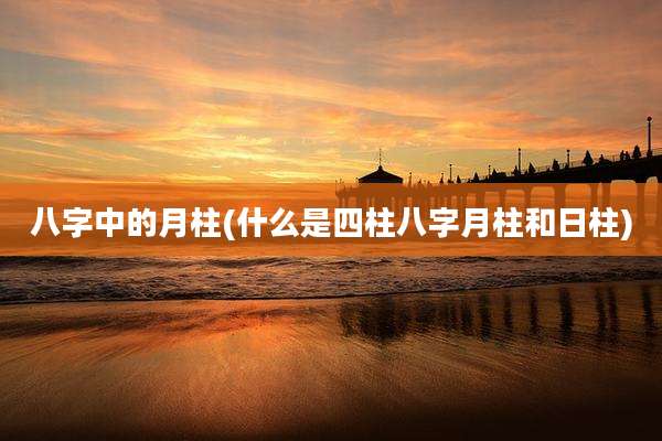 八字中的月柱(什么是四柱八字月柱和日柱)
