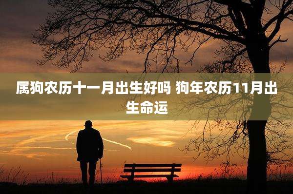 属狗农历十一月出生好吗 狗年农历11月出生命运