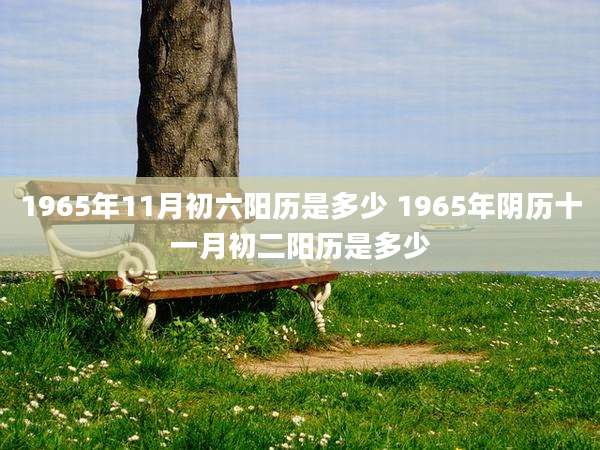 1965年11月初六阳历是多少 1965年阴历十一月初二阳历是多少