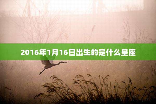 2016年1月16日出生的是什么星座