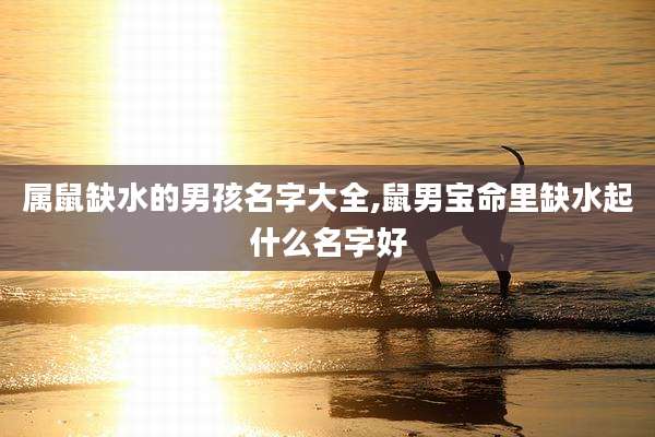 属鼠缺水的男孩名字大全,鼠男宝命里缺水起什么名字好