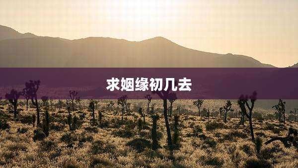 求姻缘初几去