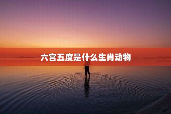 六宫五度是什么生肖动物