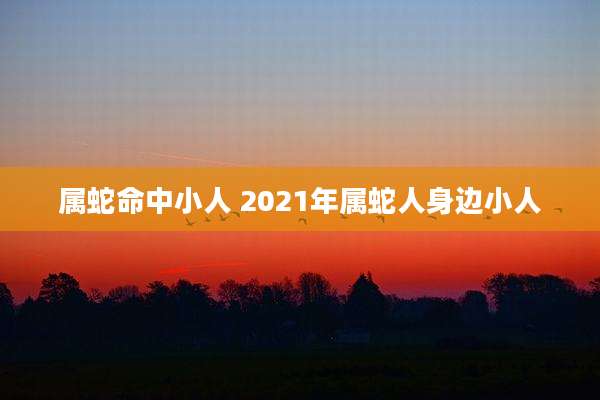 属蛇命中小人 2021年属蛇人身边小人