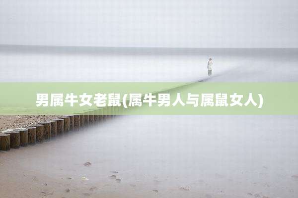 男属牛女老鼠(属牛男人与属鼠女人)