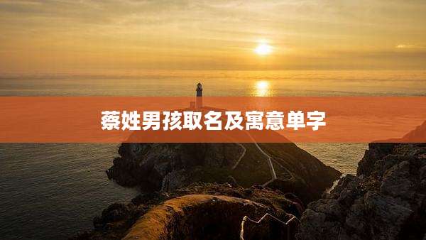 蔡姓男孩取名及寓意单字