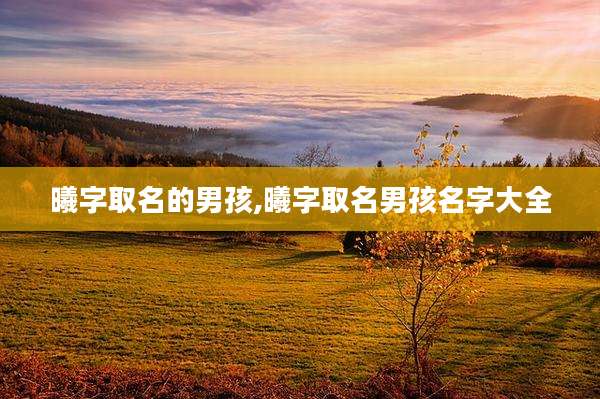 曦字取名的男孩,曦字取名男孩名字大全