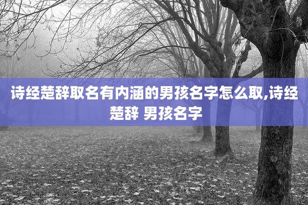 诗经楚辞取名有内涵的男孩名字怎么取,诗经 楚辞 男孩名字