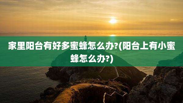 家里阳台有好多蜜蜂怎么办?(阳台上有小蜜蜂怎么办?)