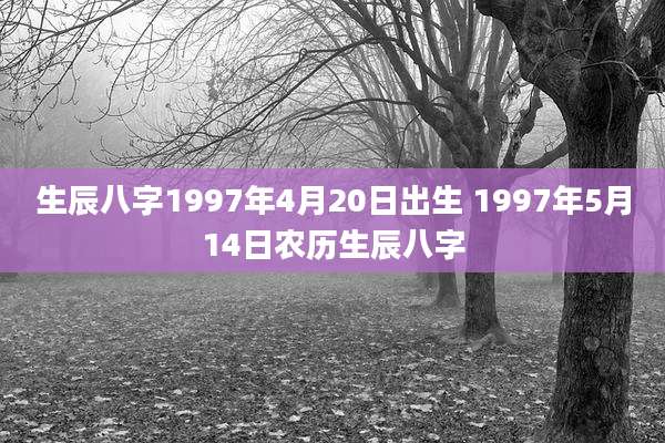 生辰八字1997年4月20日出生 1997年5月14日农历生辰八字