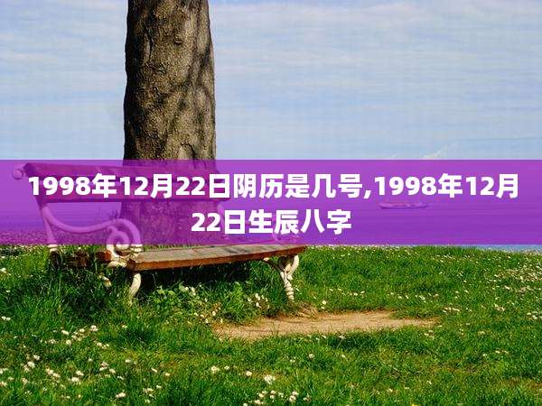 1998年12月22日阴历是几号,1998年12月22日生辰八字