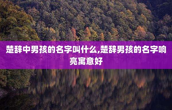 楚辞中男孩的名字叫什么,楚辞男孩的名字响亮寓意好