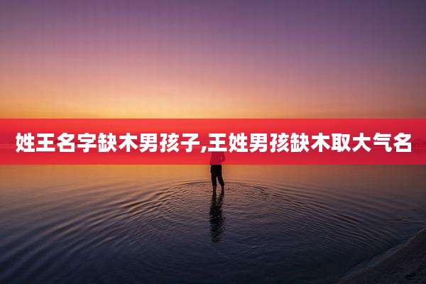 姓王名字缺木男孩子,王姓男孩缺木取大气名