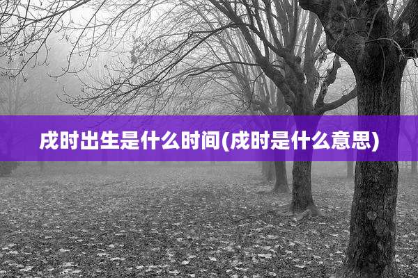 戌时出生是什么时间(戍时是什么意思)