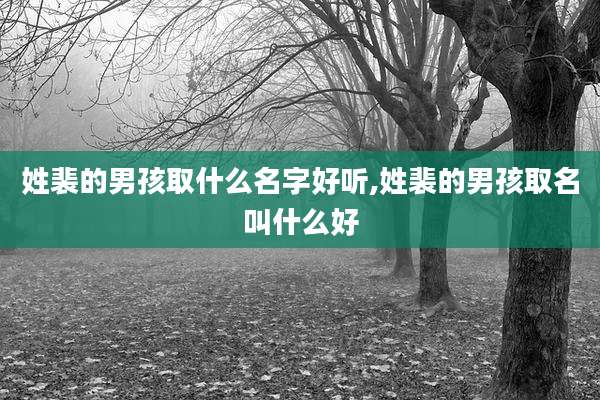 姓裴的男孩取什么名字好听,姓裴的男孩取名叫什么好