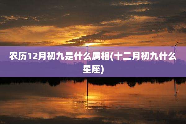 农历12月初九是什么属相(十二月初九什么星座)
