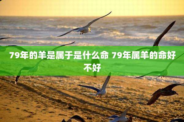 79年的羊是属于是什么命 79年属羊的命好不好