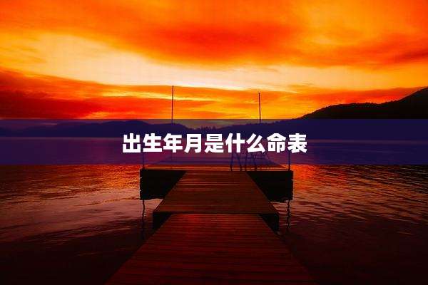 出生年月是什么命表