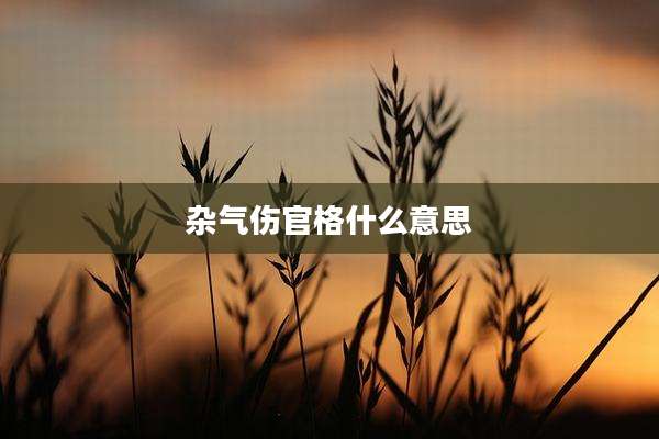 杂气伤官格什么意思