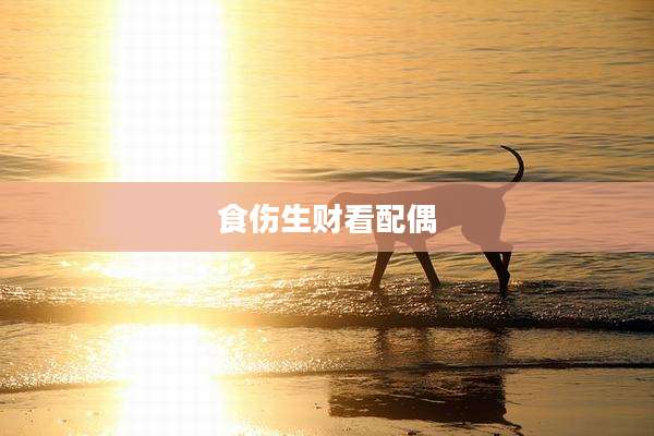 食伤生财看配偶