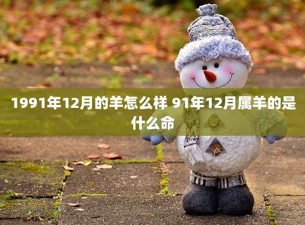 1991年12月的羊怎么样 91年12月属羊的是什么命