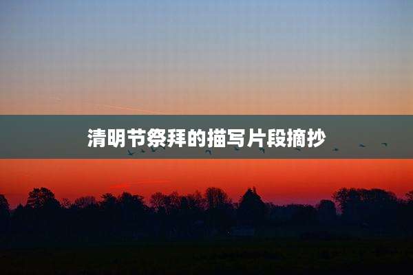清明节祭拜的描写片段摘抄