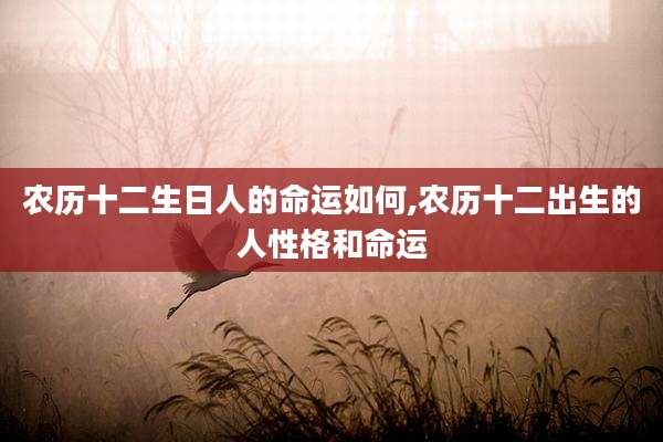 农历十二生日人的命运如何,农历十二出生的人性格和命运