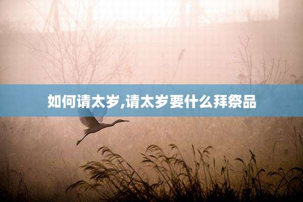 如何请太岁,请太岁要什么拜祭品