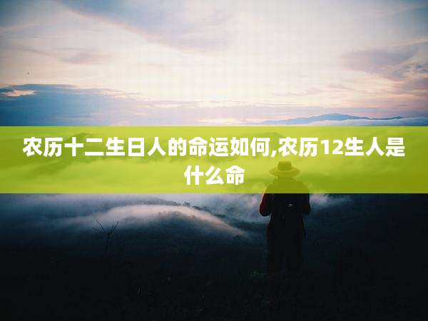 农历十二生日人的命运如何,农历12生人是什么命