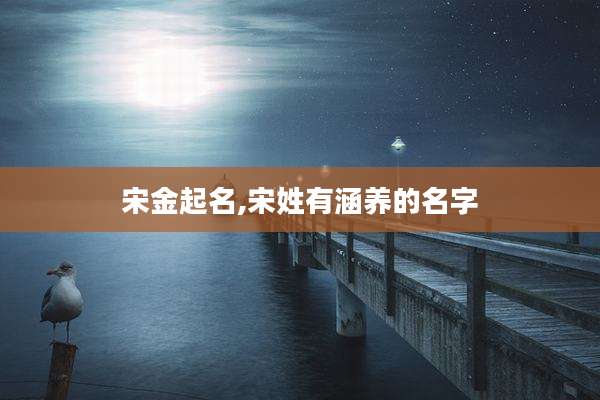 宋金起名,宋姓有涵养的名字