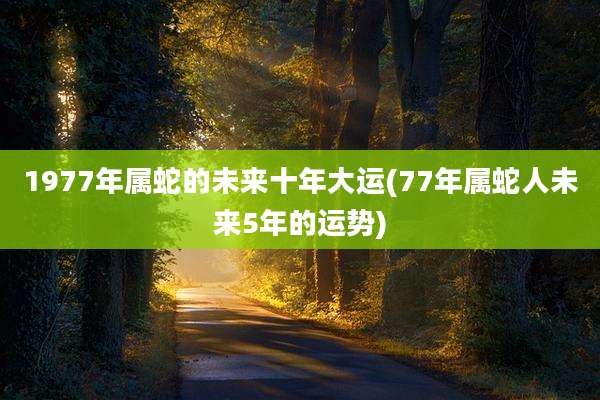 1977年属蛇的未来十年大运(77年属蛇人未来5年的运势)