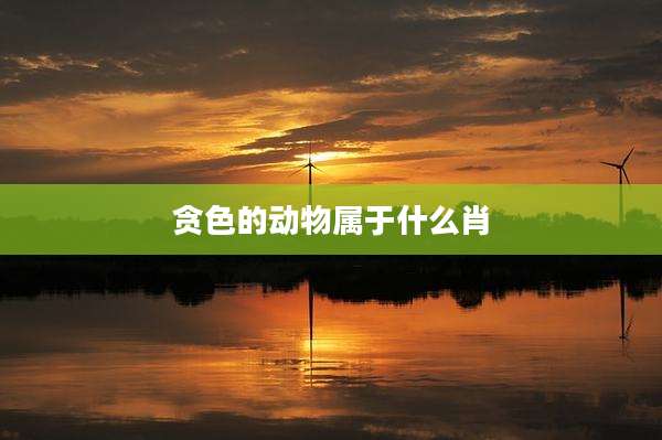 贪色的动物属于什么肖