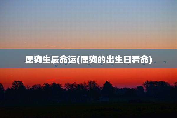 属狗生辰命运(属狗的出生日看命)