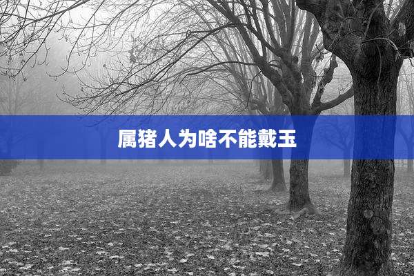 属猪人为啥不能戴玉