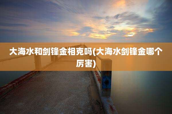 大海水和剑锋金相克吗(大海水剑锋金哪个厉害)