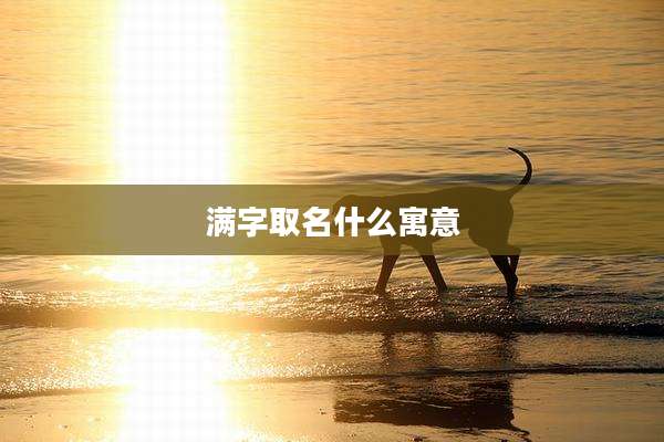 满字取名什么寓意