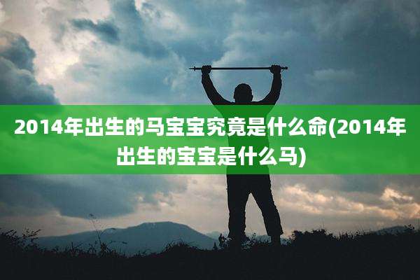 2014年出生的马宝宝究竟是什么命(2014年出生的宝宝是什么马)