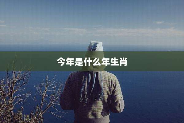 今年是什么年生肖