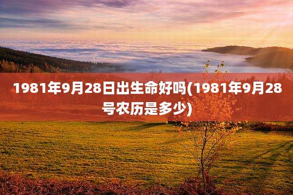 1981年9月28日出生命好吗(1981年9月28号农历是多少)