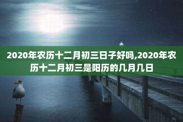 2020年农历十二月初三日子好吗,2020年农历十二月初三是阳历的几月几日