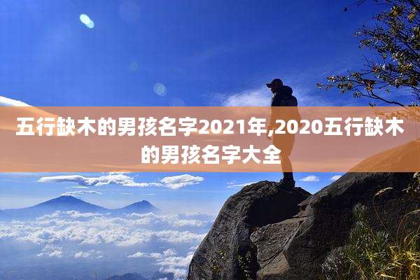 五行缺木的男孩名字2021年,2020五行缺木的男孩名字大全