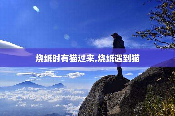 烧纸时有猫过来,烧纸遇到猫