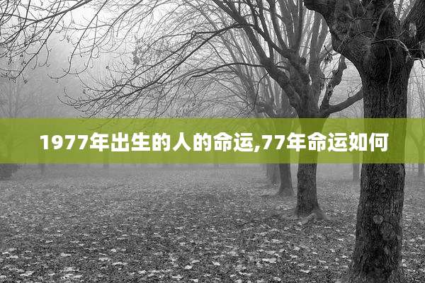 1977年出生的人的命运,77年命运如何