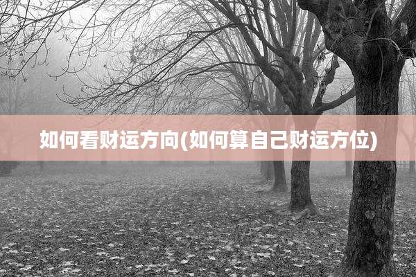 如何看财运方向(如何算自己财运方位)