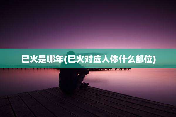 巳火是哪年(巳火对应人体什么部位)