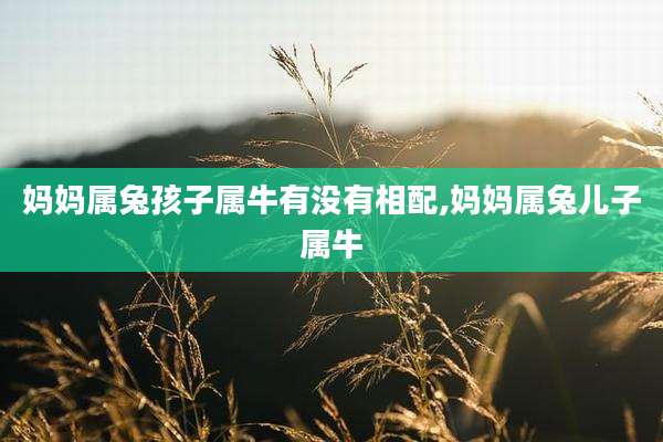 妈妈属兔孩子属牛有没有相配,妈妈属兔儿子属牛